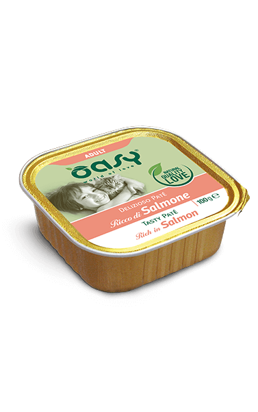 Oasy Delizioso Patè Salmone Umido Gatto 100 Gr Oasy Delizioso Patè Salmone Umido Gatto 100 Gr